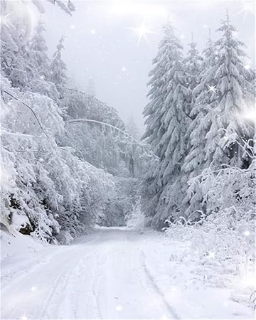Amazon Com Aofoto 8x10ft Snow Covered Pine Trees Backdrop White Christmas Fairy Winter Forest Road Landscape Photography Background 21 New Year Holiday Snowfield Park Nature Scenery Photo Studio Props Vinyl Camera