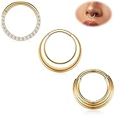 316L Stainless Steel Septum Jewelry Septum Rings 3PCS Seamless Clicker Ring 16G Septum Piercings Hinged Segment Nose Hoop Ring Daith Tragus Rook Cartilage Hoop Earring Helix Conch Piercing Jewelry