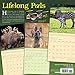Unlikely Friendships Wall Calendar 2018