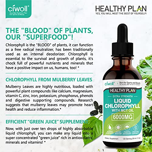 Chlorophyll Liquid Drops Unflavored 6000mg Better Energy Supplement