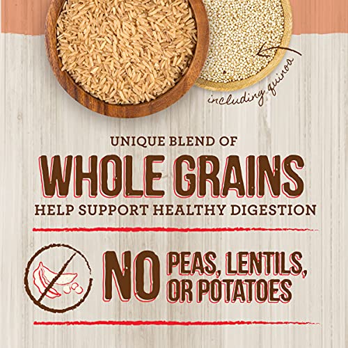 Merrick Classic Healthy Grains Dry Dog Food with Real Meat 4 Pound