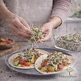 Nature’s Root Organic Radish Mix 250g Microgreen Sprouting Seeds view 8