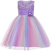 Flower Girls Wedding Party Dress Sequin Rainbow Mesh Tulle Princess Lace Ball Gown Prom