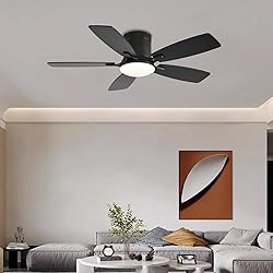 Ayaoty Ceiling Fans with Lights, 42 inch Low