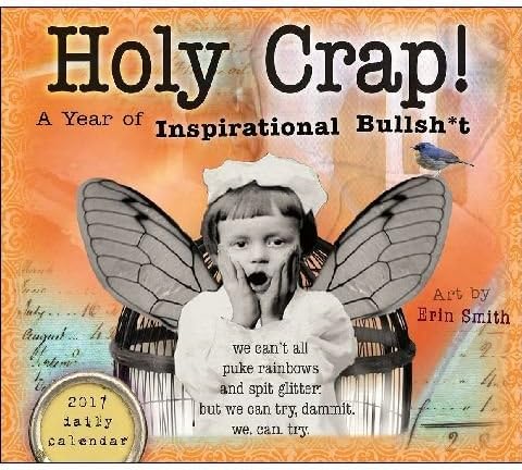 2017 Holy Crap Daily Desk Calendar - 6 x 5 inches