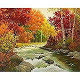 Oucan 5D Diamond Painting Full Drill DIY,Scenery Diamond Painting Embroidery Art Craft Home Decoration Full Drill Diamond Painting Kits for Adults(30x25cm