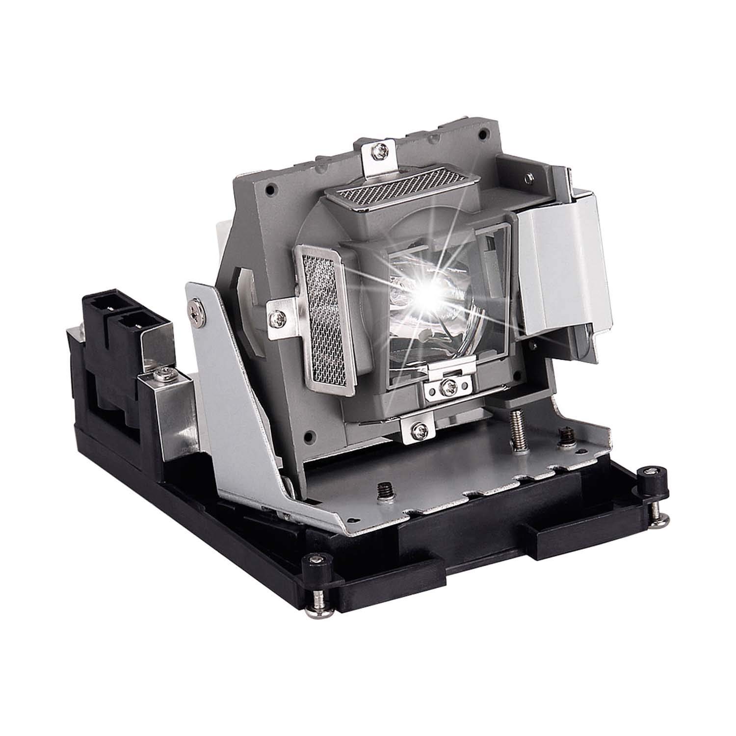 Visdia BL-FU310B/5811118436-SVV Replacement Projector Lamp with Housing for OPTOMA EH500 X600 BR561 VIVITEK D966HD D967 D968U Projectors