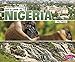 Let's Look at Nigeria (Let's Look at Countries)