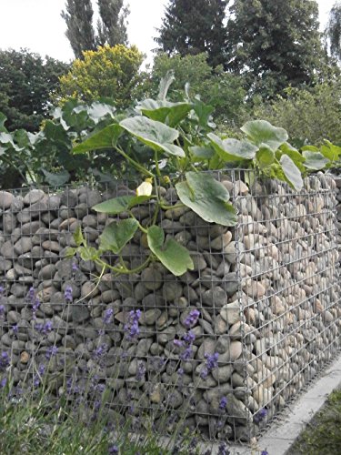 GABIONA - Gabionen Hochbeet HxBxT: 200x100x100 cm - Eckiger Gabionenkorb als Beet für den Garten - Maschenweite 5x5 cm – Bild 2
