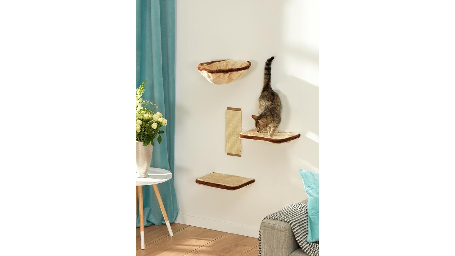 Mur D Escalade Pour Chat