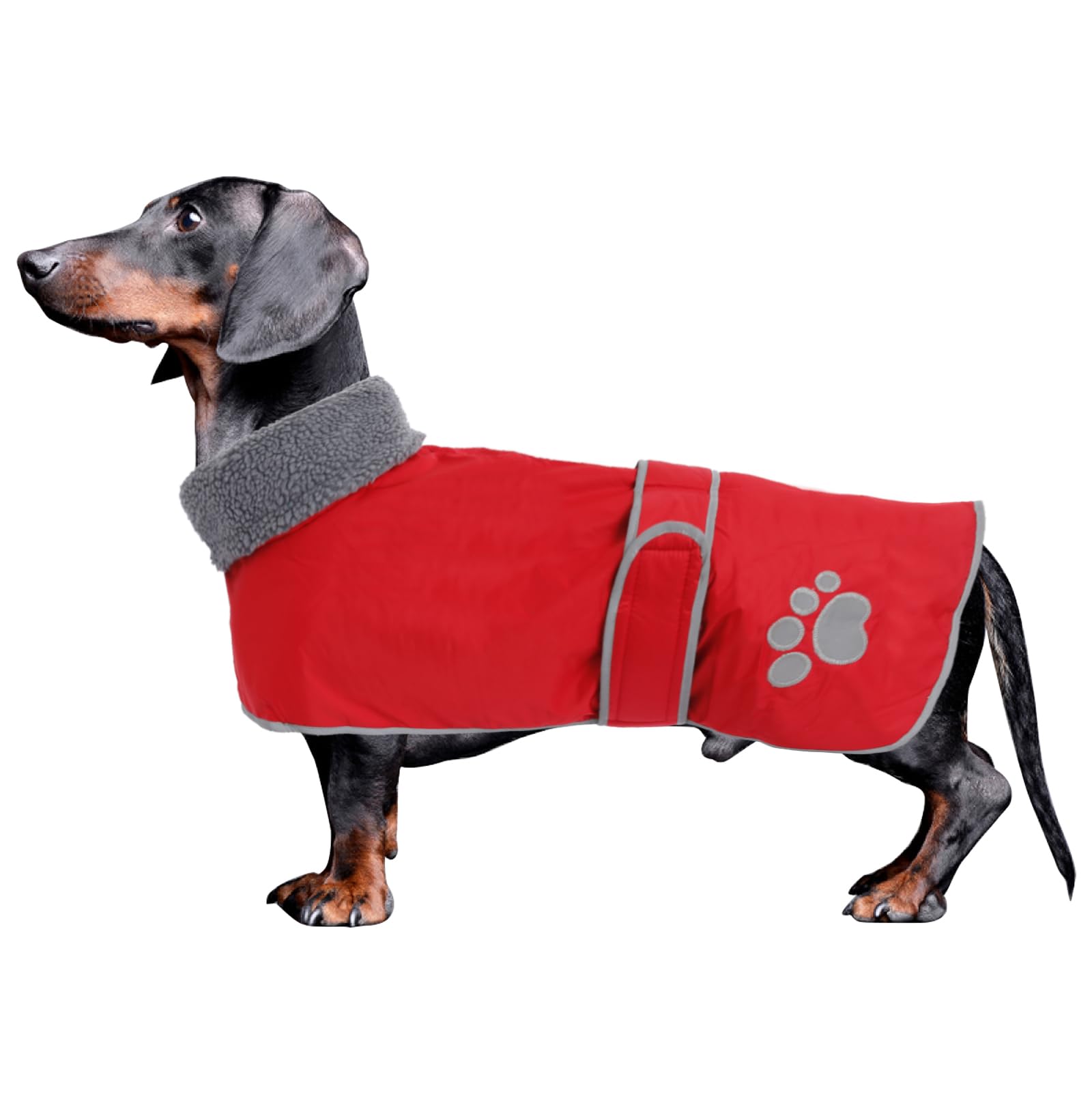 Dog Winter Coat Thermal Quilted Dachshund Coat,with warm flannel Lining,Geyecete waterproof Outdoor Dog Apparel with Adjustable Bands for Small,Medium, Large Dog-Red-S