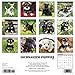 Just Schnauzer Puppies 2018 Wall Calendar (Dog Breed Calendar)