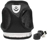FEimaX Dog Harness and Leash Set Reflective No Pull Adjustable Vest view 2