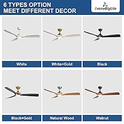 BvenuBigLite Ceiling Fan with Light Modern: 52 Inch