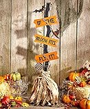 Halloween Witches' Brooms-If The Broom Fits