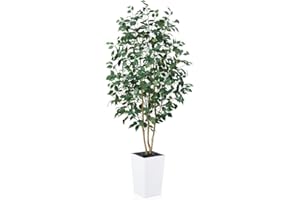 VeriNatural 6ft Artificial Ficus Tree-Tall Faux Tree with Pebbles & Planter UV Resistant Potted Fake Plant with Silk Leaves & Real Wood Trunk-Indoor Outdoor Floor Plant for Home,Living Room,VN129