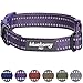 Blueberry Pet Essentials Safe & Comfy 3M Reflective Adjustable Dog Collar - Violet, Large, Neck 18