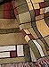 Frank Lloyd Wright Oak Park Skylight Tapestry Throw Blanket