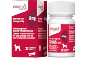 Galliprant Osteoarthritis Pain & Inflammation Control for Dogs | 60mg | 30 Flavored Tablets