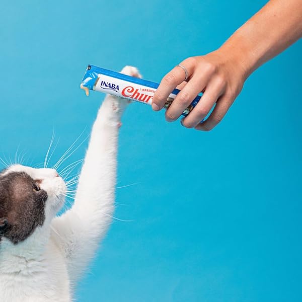 INABA CHURU CAT TREATS, LICKABLE, SQUEEZABLE CREAMY PURÉE CAT TREAT WITH GREEN TEA EXTRACT & TAURINE, 0.5 OUNCES EACH TUBE, 24 TUBES (4 PER PACK), TUNA WITH SCALLOP RECIPE