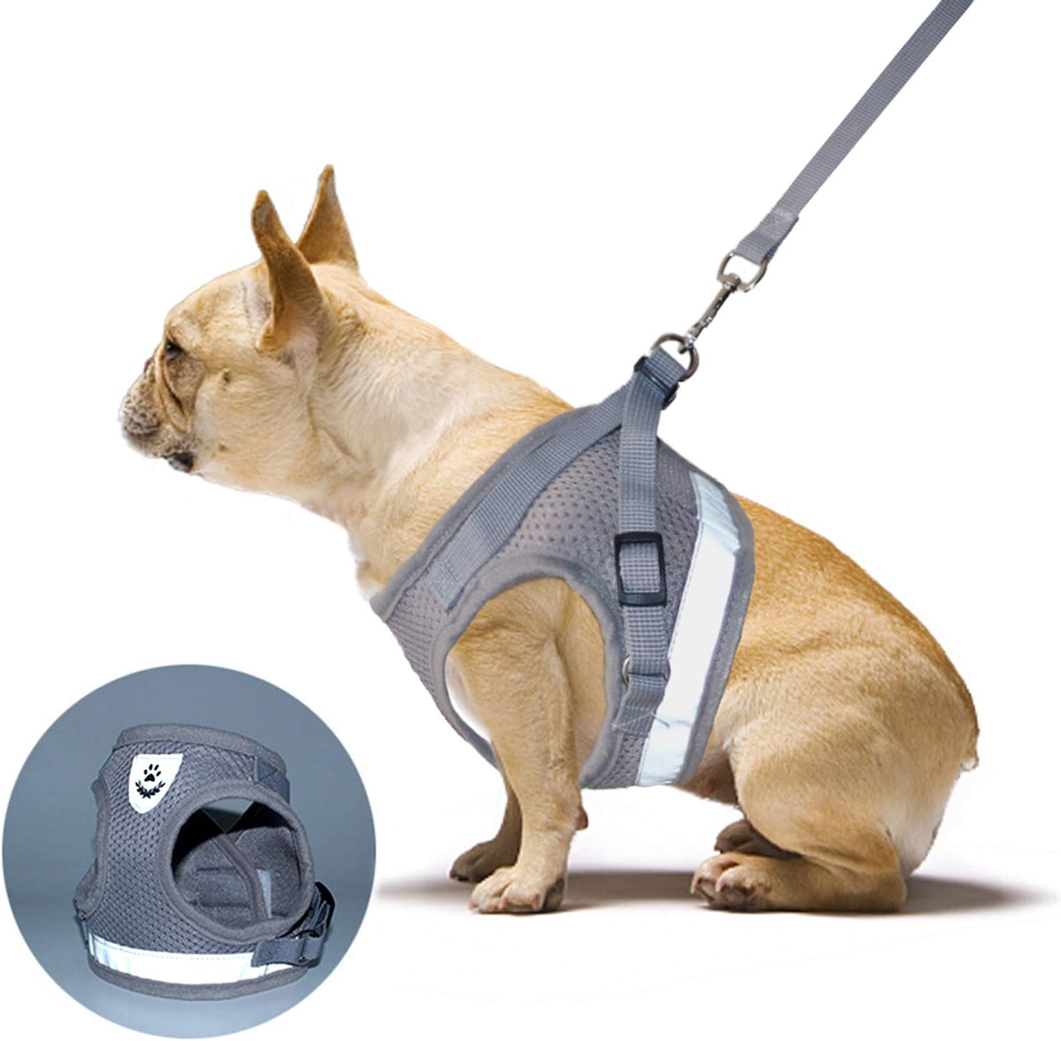 the dog walker company harness large