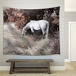 White Horse - Fabric Wall Tapestry Home Decor - 51x60 inches