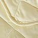 NATURETY Thin Comforter for Summer,Light Weight Bed Quilts Cooling Blanket (Full/Queen, Light Yellow)