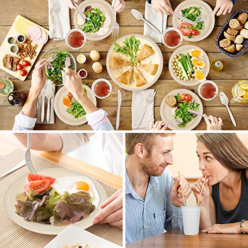 Gezond 350Pcs Disposable Dinnerware Set, Eco-friendly Dinnerware Includes Compostable Biodegradable Plates, Forks, Knives, Spoons, Cups and Straws for 50 Guest Party, Birthday, Picnic - Thumbnail 5