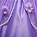 Princess Sofia Party Costume Dress Up Set (4-5)