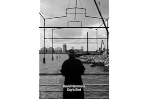 David Hammons: Day's End