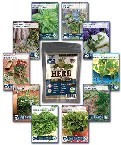 Culinary Herb Seed Collection