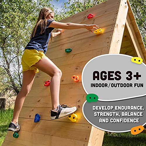 Squirrel Products 20 Extra Large Deluxe Rock Climbing Holds with Mounting Hardware for up to 1