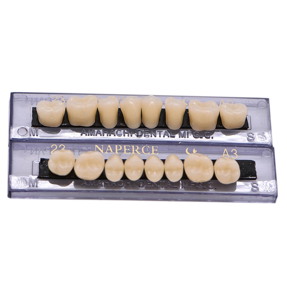 RZJZGZ 168 Pcs Dental Synthetic Resin Tooth Denture 6 Sets False Teeth for Halloween Horror Teeth 23 A3 : Beauty