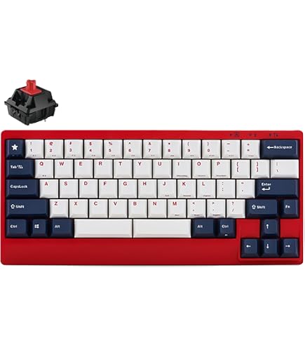 Amazon.com: Leopold FC750RBT White/Pink TKL Bluetooth PD Double