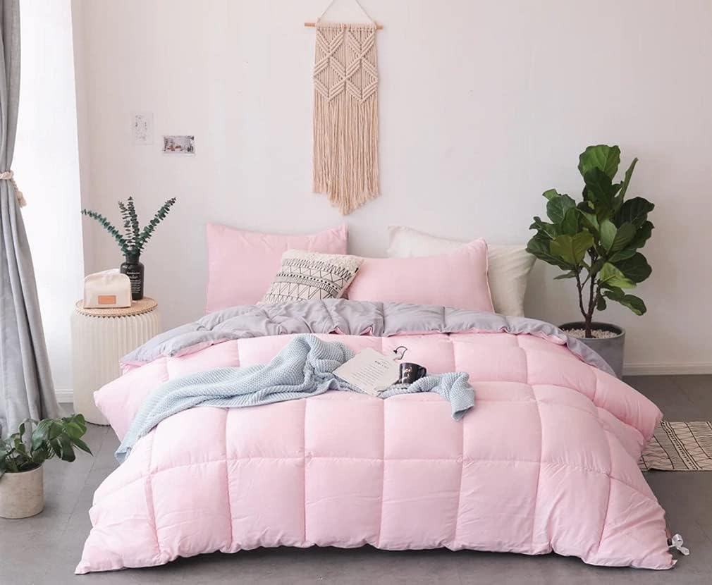KASENTEX All Season Down Alternative Quilted Comforter Set with Sham(s) - Reversible Ultra Soft Duvet Insert Hypoallergenic Machine Washable, Queen, Pink Potpourri/Quartz Silver: Home & Kitchen
