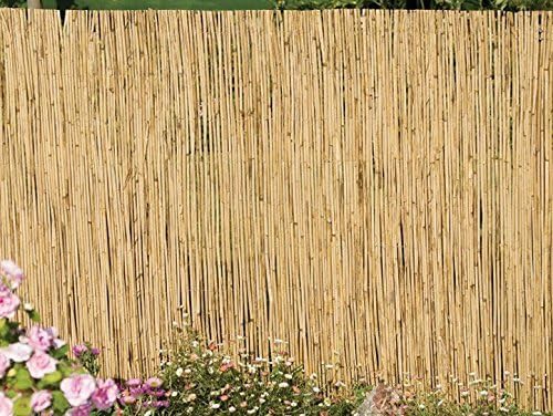 Ambassador Reed Screening 4m X 2m Amazon Co Uk Garden Outdoors