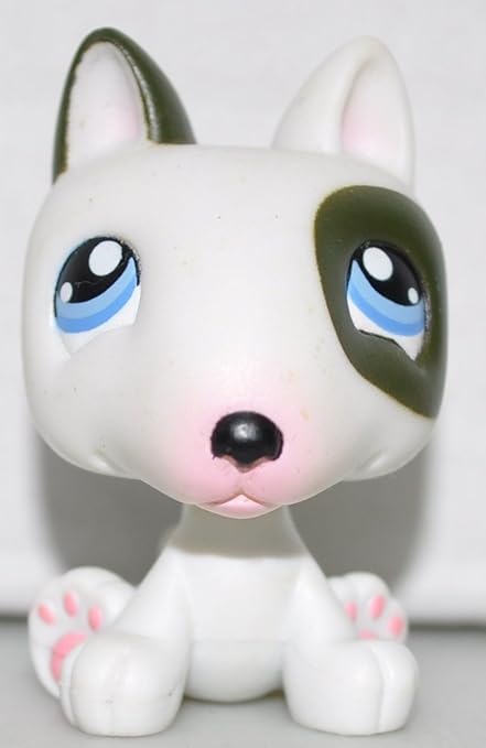 matching dog and owner sweatshirts