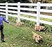Triple Dog Leash Handle, 3 Way Dog Coupler UTurn Handle with which you can walk 3 dogs on 3 leashes and untangle in seconds. Dolphin Grey.