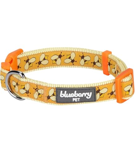 Amazon.com: Blueberry Pet 4 種圖案Bon Voyage Sea Lover 可調式狗