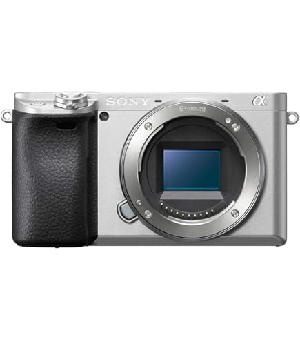 ソニーSONY a6400ILCE−6400　シルバー　E PZ16-50mm Amazon.com : Sony a6400 (Silver) Mirrorless Camera with 16