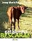 Livro CATALUNHA: BESCARAN [1]