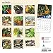 2017 Monthly Wall Calendar - Herbs
