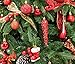 AMS Shatterproof Clear Plastic Christmas Ball Ornaments Decorative Xmas Balls Baubles Set with Stuffed Delicate Decoration (21pcs)…