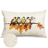 RABUSOFA Fall Outdoor Pillow Covers 12x20 Inch
