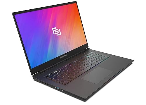 Gpu Gaming Laptop With 3080 MAINGEAR Vector Pro (2021) Inch