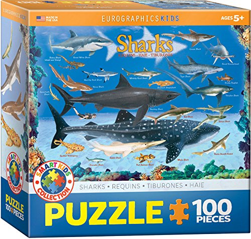Sharks 100 Piece Jigsaw Puzzle