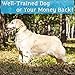 PetSpy P320N Dog Shock Collar with Remote for Dogs Training with Vibration and Tone Rechargeable and Waterproof E-Collarthumb 4