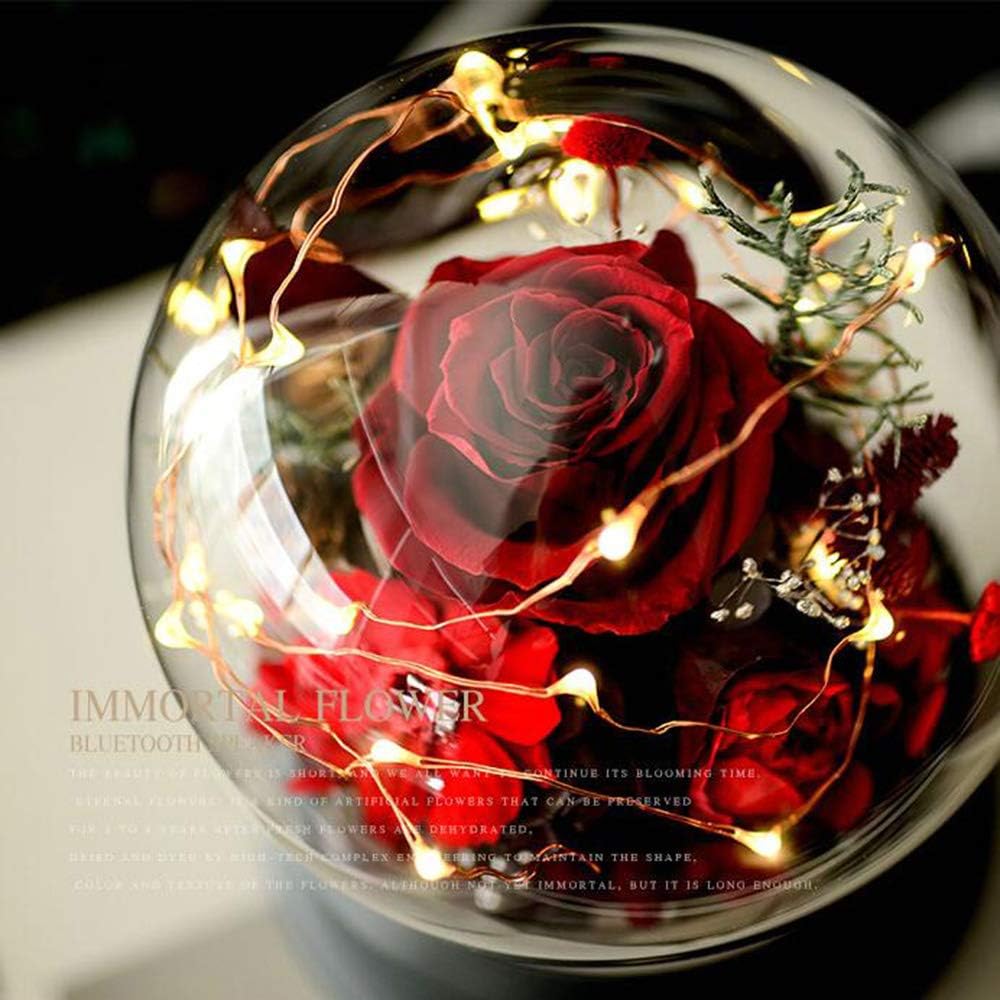 Amazon.de WJXBoos Echte Rosen Im Glas Kuppel, Rose Geschenk Kit