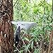 LIANTRAL Tactical Hunting Knife with Sheath Fixed-Blade Survival Knife for Camping Hiking Backpacking, 6.2