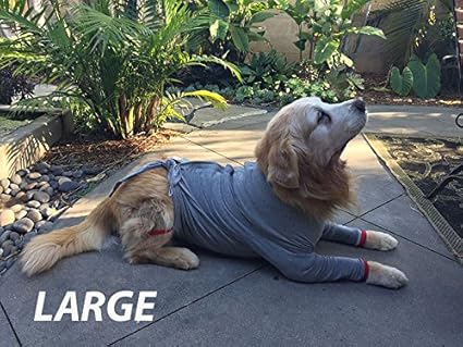 t shirt for dog after spay